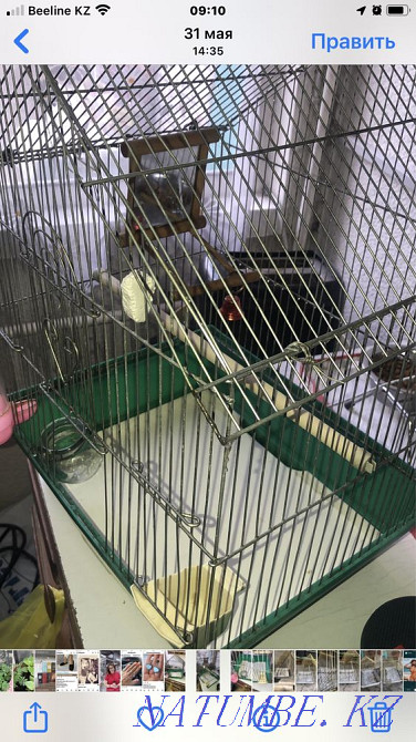Клетка бу попугаям Алматы - изображение 2