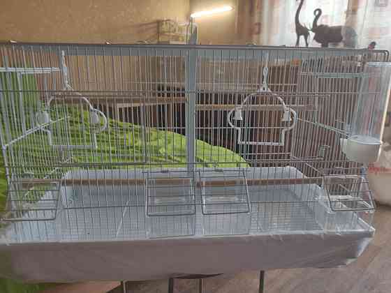 Продам клетку для разведения канареек, попугаев полностью оборудованна Алматы