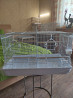 Продам клетку для разведения канареек, попугаев полностью оборудованна  Алматы