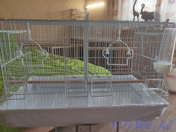 Продам клетку для разведения канареек, попугаев полностью оборудованна Алматы - изображение 2