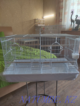 Продам клетку для разведения канареек, попугаев полностью оборудованна Алматы - изображение 1