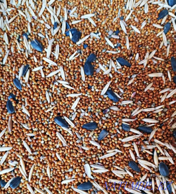 Корм для попугаев Тараз - изображение 1