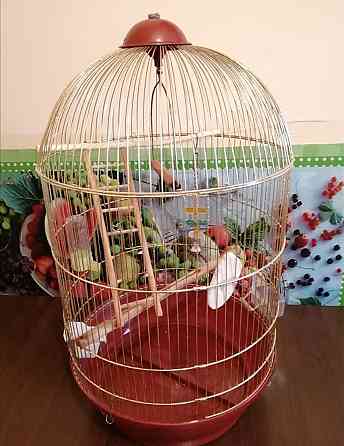 Клетка для попугаев  Ақтау 
