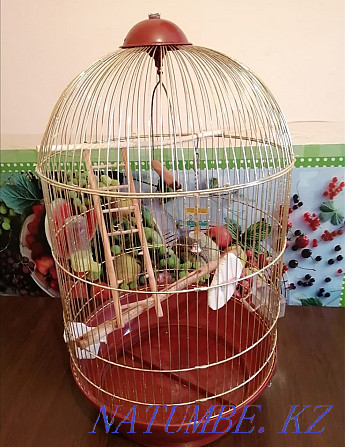 Клетка для попугаев Актау - изображение 1
