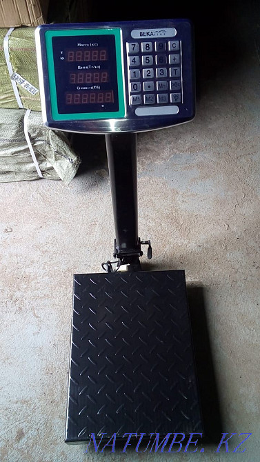 Весы электронные Рудный - изображение 3