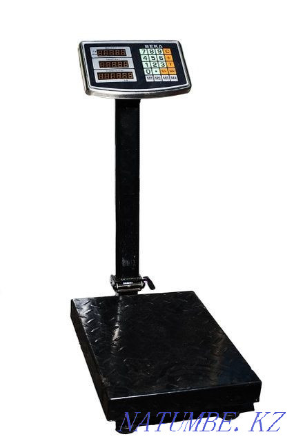 Весы электронные Рудный - изображение 2