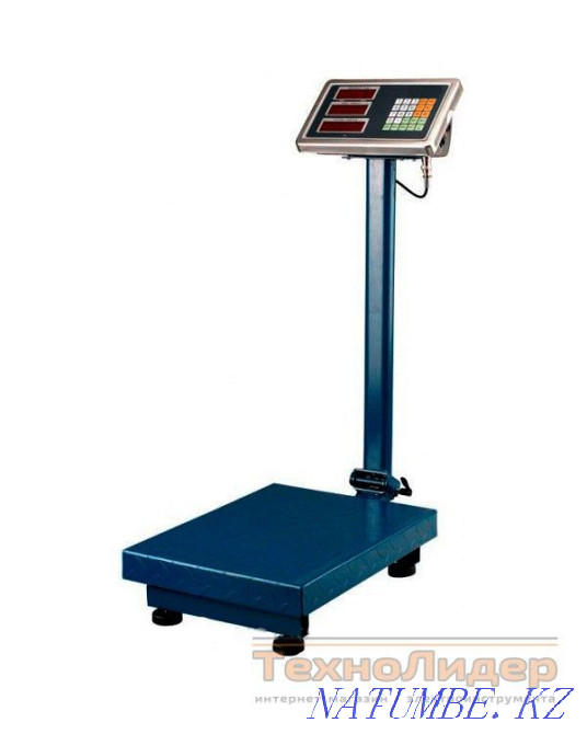 Весы электронные Рудный - изображение 1