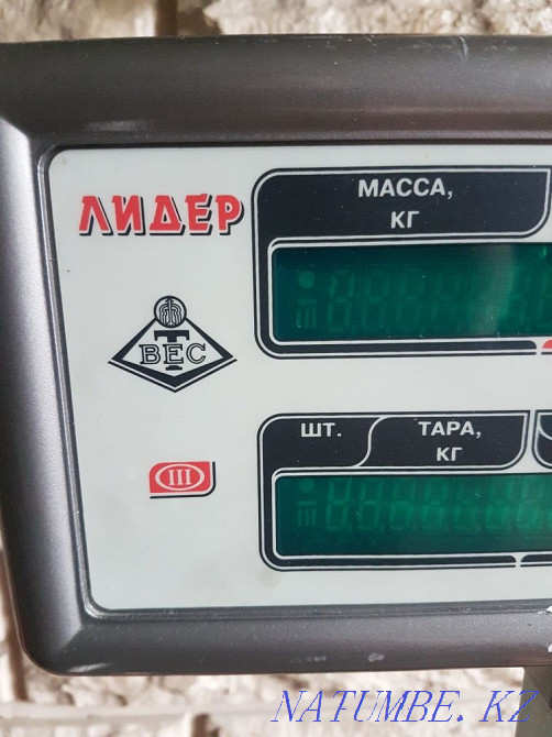 Электронные весы Талгар - изображение 1