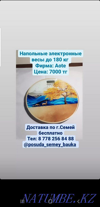 Floor electronic scales Semey - photo 4