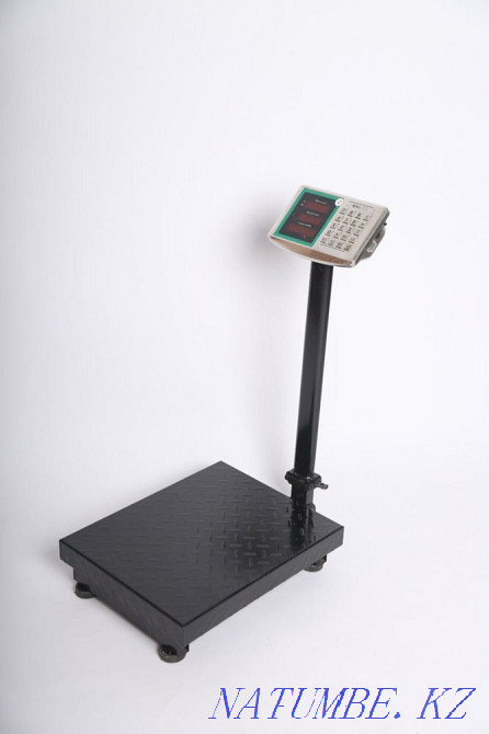 Электронные весы Большой чаган - изображение 2