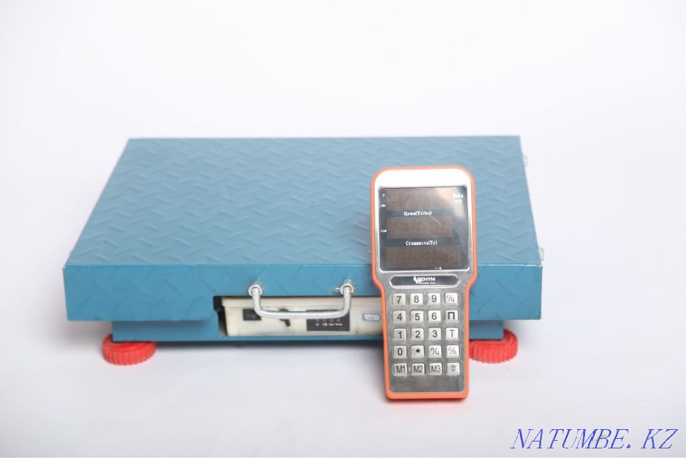 Электронные весы Большой чаган - изображение 3