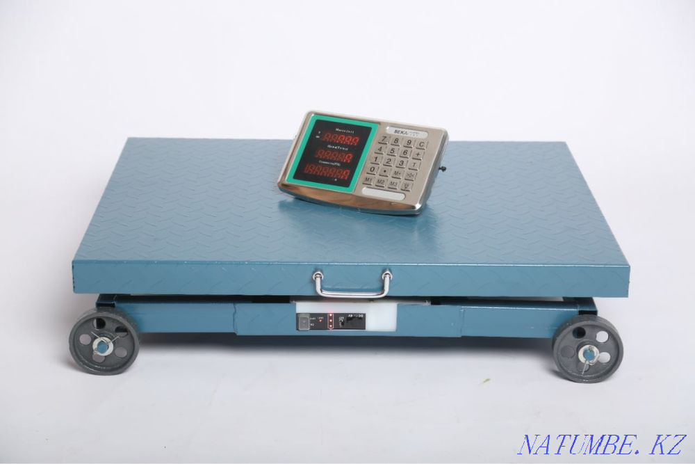 Электронные весы Большой чаган - изображение 4