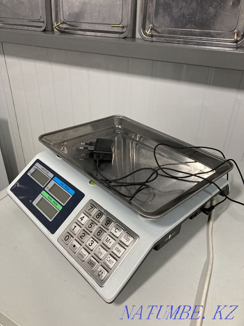 Электронные весы Бека Каменка - изображение 2