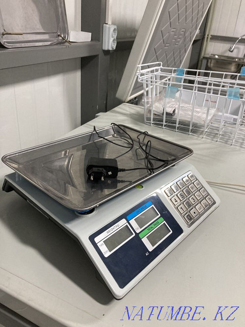 Электронные весы Бека Каменка - изображение 1