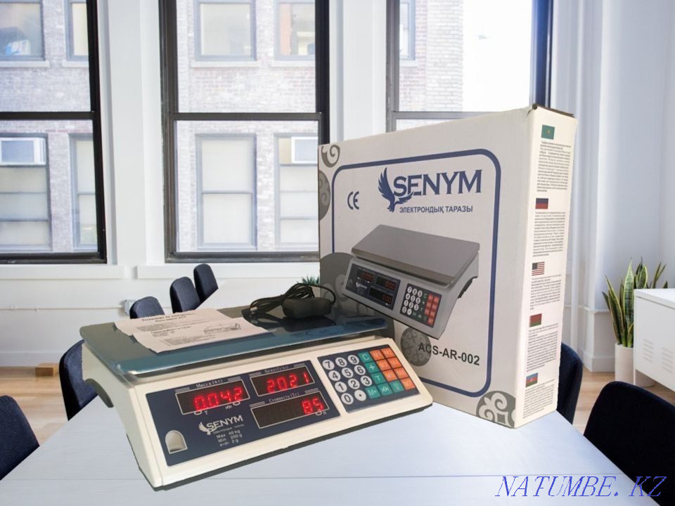 Весы электронные до 35кг Астана - изображение 1