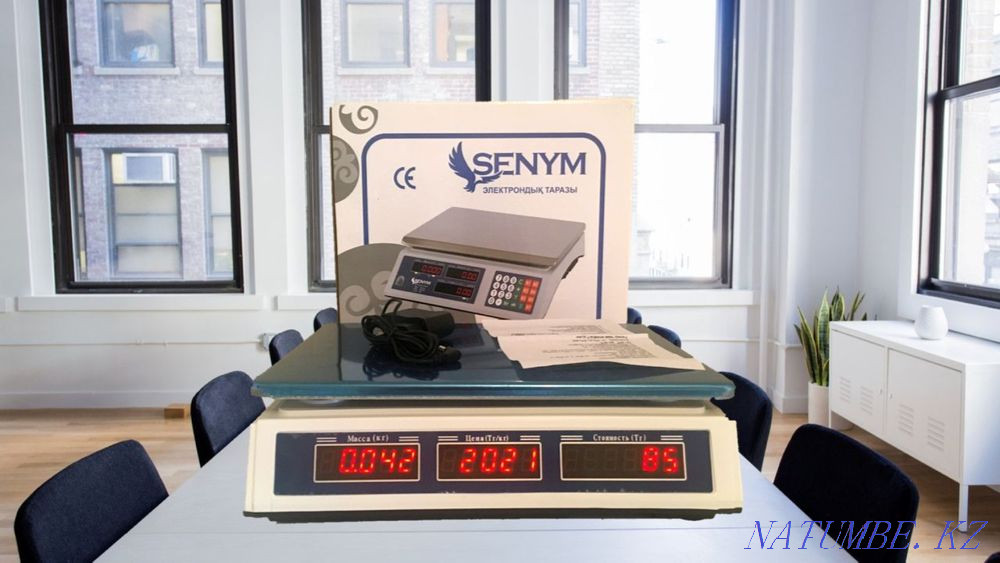 Весы электронные до 35кг Астана - изображение 2