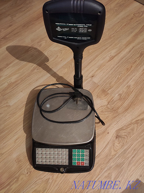 Электронные весы Каменка - изображение 1