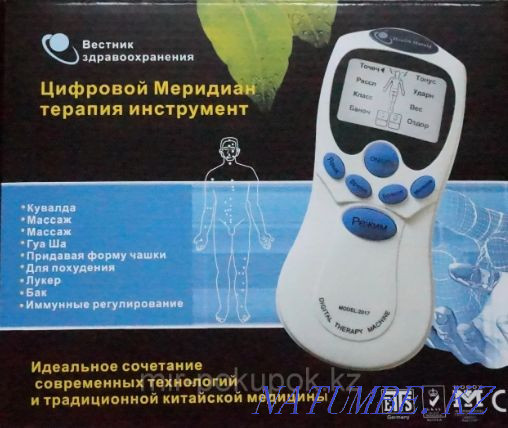 Электронный импульсный массажер "Цифровой меридиан" Алматы - изображение 1