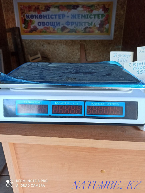 Весы электронные до 35 кг Чапаево - изображение 2