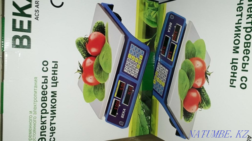 Весы века електроник Караганда - изображение 6