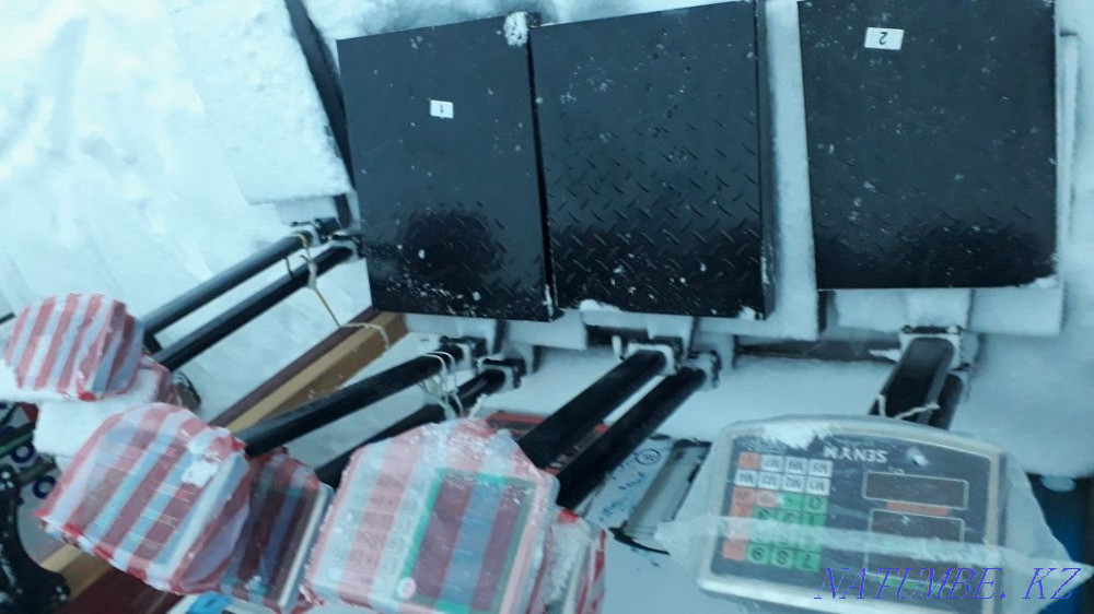 Весы века електроник Караганда - изображение 5