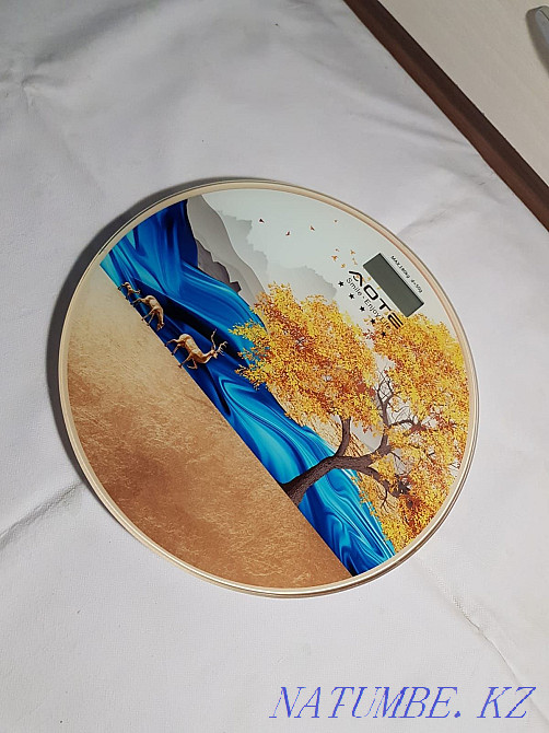 Floor scales (electronic) Ust-Kamenogorsk - photo 3