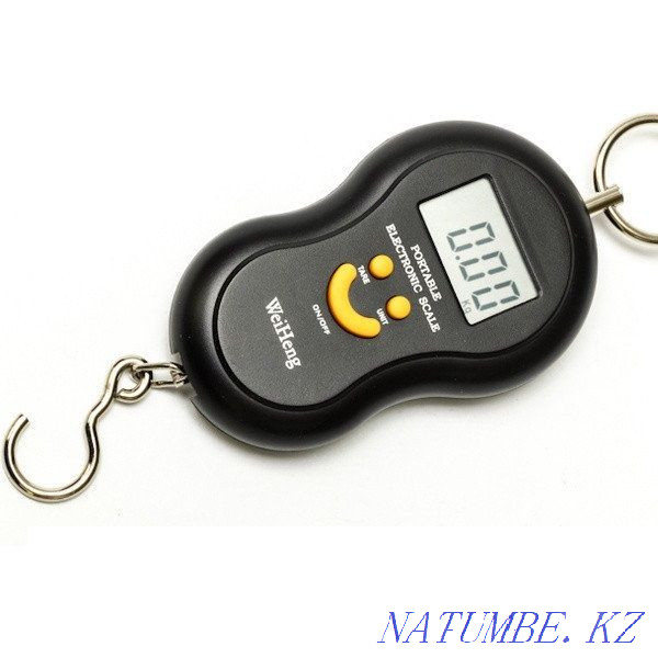 Electronic hand-held steelyard scales / Portable scales up to 40 kg Aqtobe - photo 2