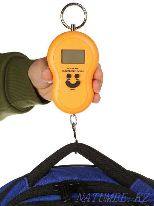 Electronic hand-held steelyard scales / Portable scales up to 40 kg Aqtobe - photo 1