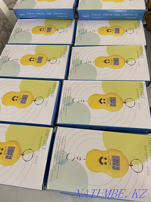 Весы безмен электронные Астана - изображение 5