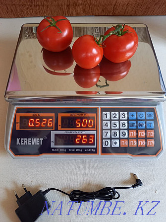 Benchtop scales up to 40kg electronic grocery Keremet and VEKA Kostanay - photo 5