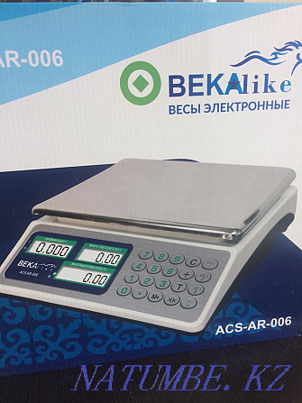 Весы электронные с 3 д кнопками Астана - изображение 2