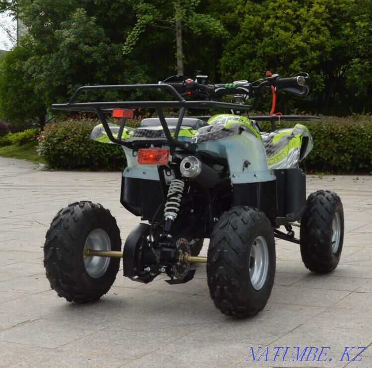 Квадроциклы (Подростковые) Петропавловск - изображение 7
