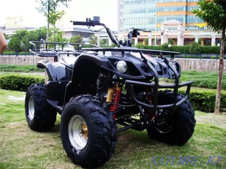 Квадроциклы (Подростковые) Петропавловск - изображение 3