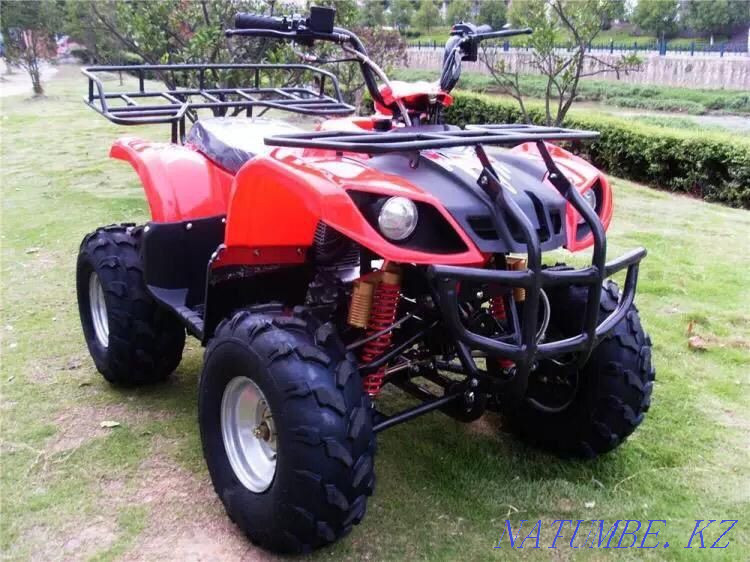 Квадроциклы (Подростковые) Петропавловск - изображение 4