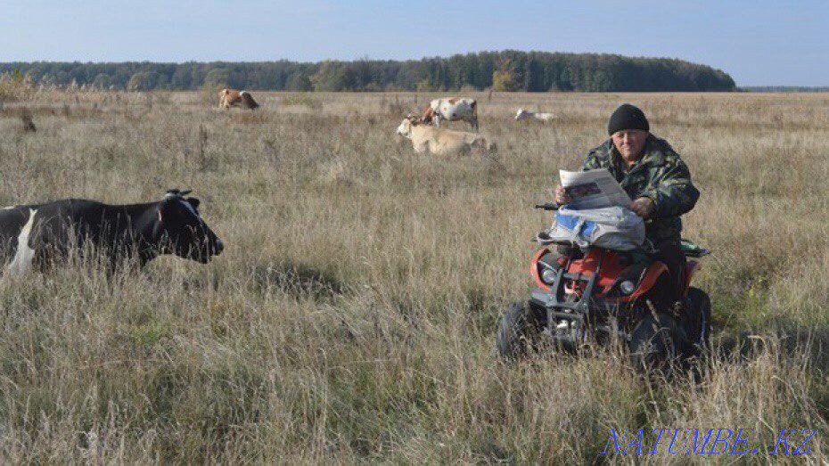 Квадроциклы, трициклы, мотосамокаты/14 Темиртау - изображение 4