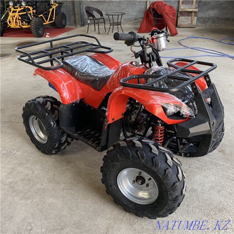 Квадроциклы, трициклы,мотосамокаты/10 Костанай - изображение 1