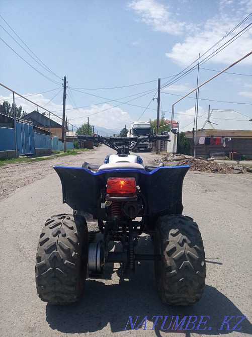 Квадроцикл Японский Талгар - изображение 5