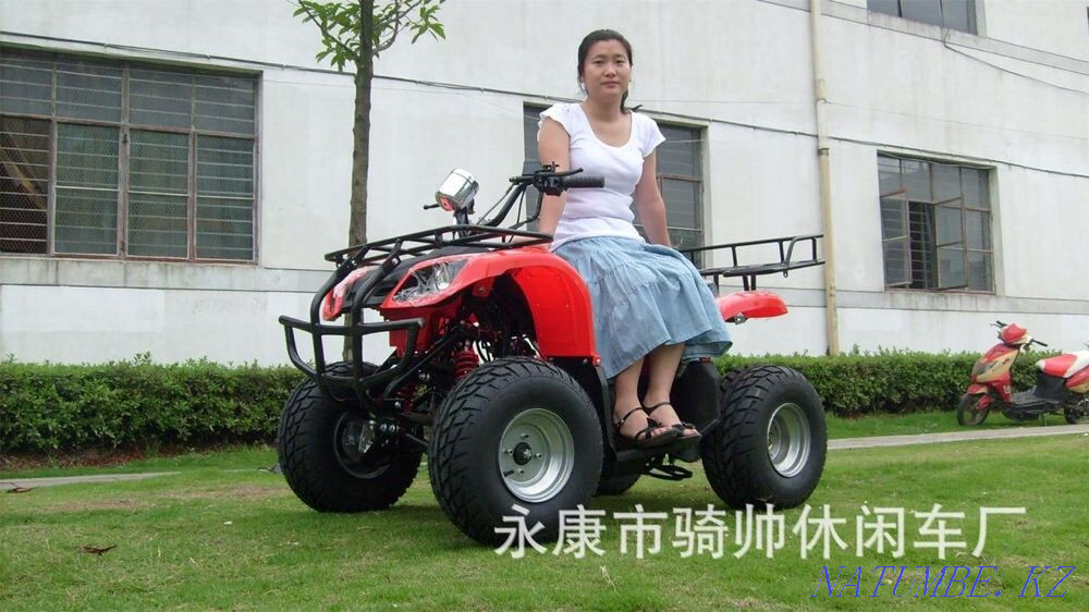 Квадроциклы (от 50 до 250 сс ) Экибастуз - изображение 6