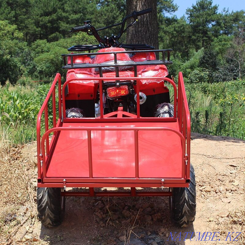 ATVs 50,125,250ss (Delivery to Aktobe) Aqtobe - photo 5
