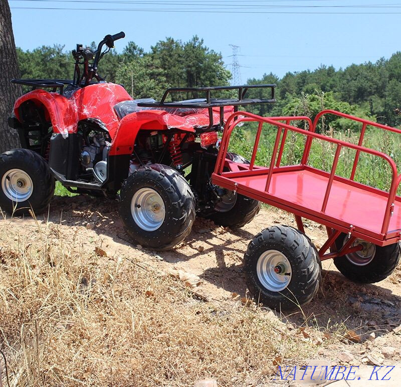 ATVs 50,125,250ss (Delivery to Aktobe) Aqtobe - photo 4