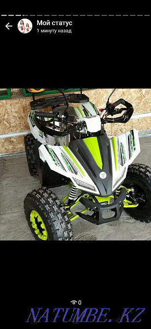 ATV, мотороллер, мопедтер Белоусовка - изображение 3