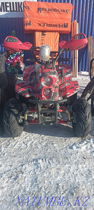 Квадрациклы детские Усть-Каменогорск - изображение 3