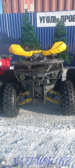 Квадрациклы детские Усть-Каменогорск - изображение 2