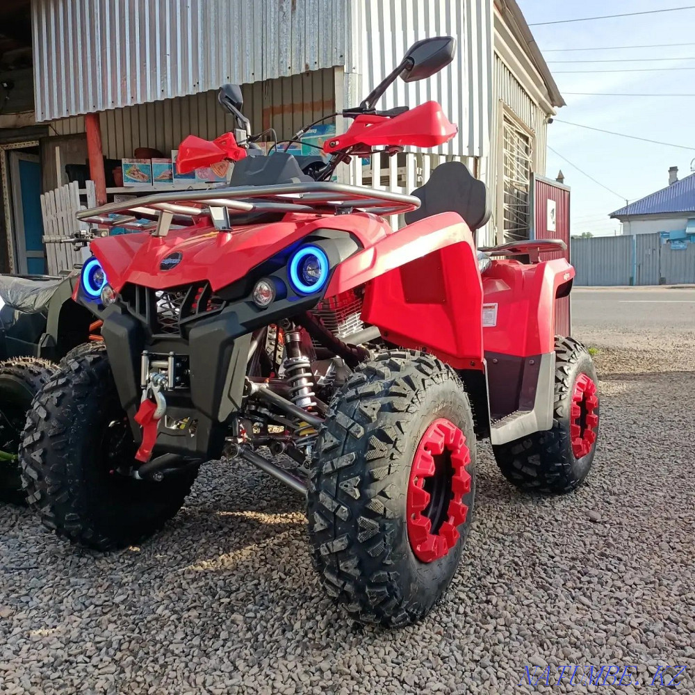 ATVs enduro motorcycles scooters mopeds pit bikes Ridder - photo 5