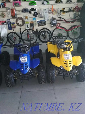 ATVs for children, petrol Rudnyy - photo 4