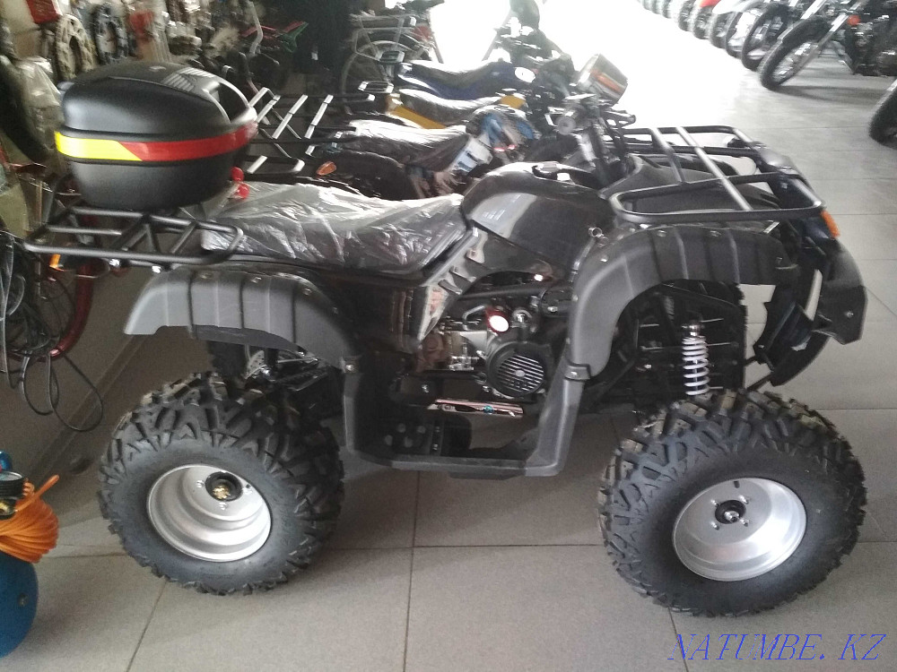 ATVs for children, petrol Rudnyy - photo 6
