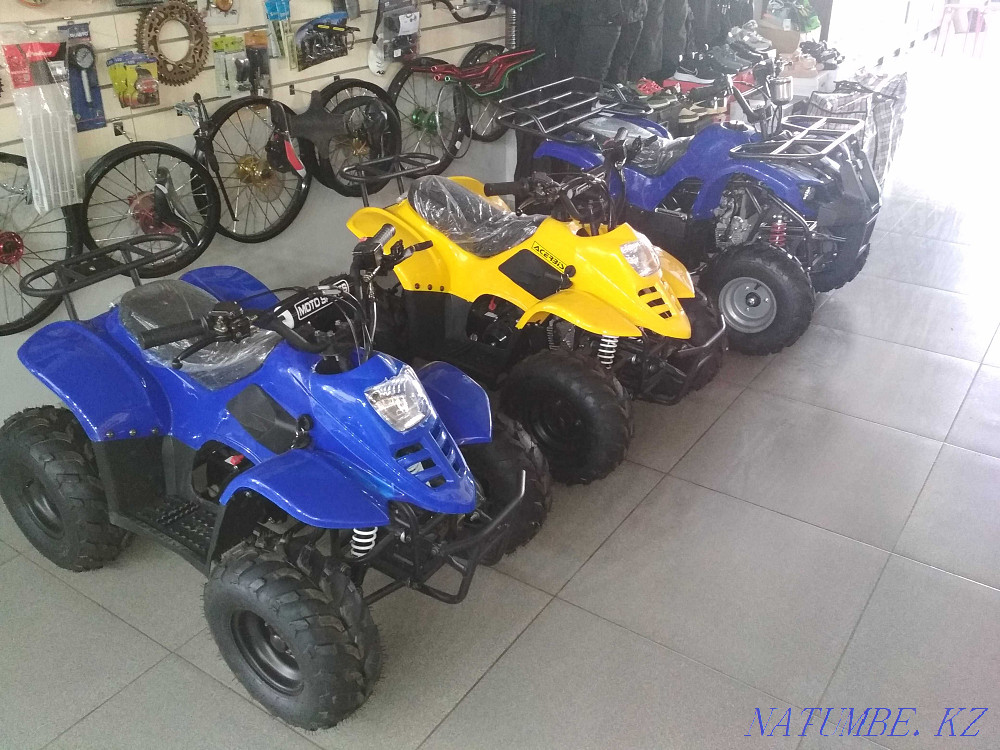 ATVs for children, petrol Rudnyy - photo 2