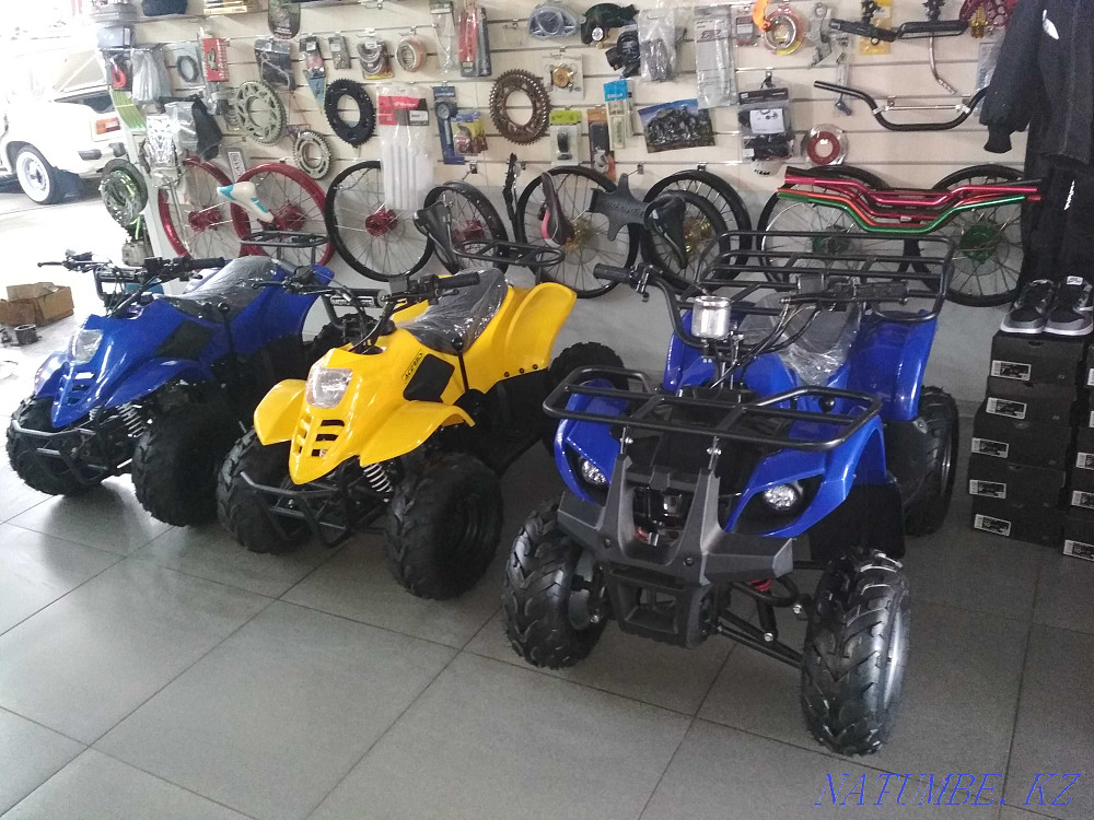 ATVs for children, petrol Rudnyy - photo 3