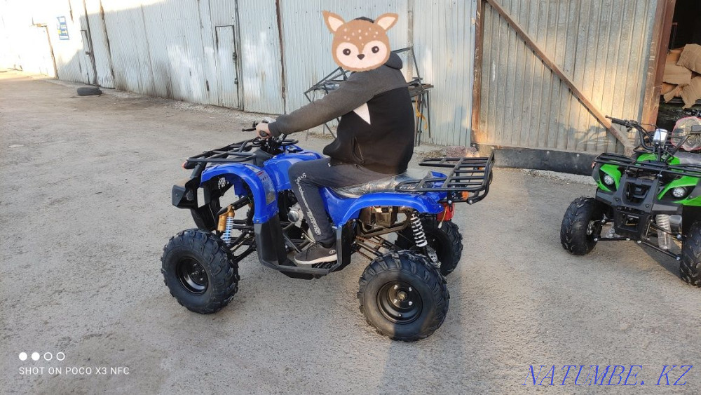 Квадроциклы 50,110,125сс ( Рудный) Рудный - изображение 4