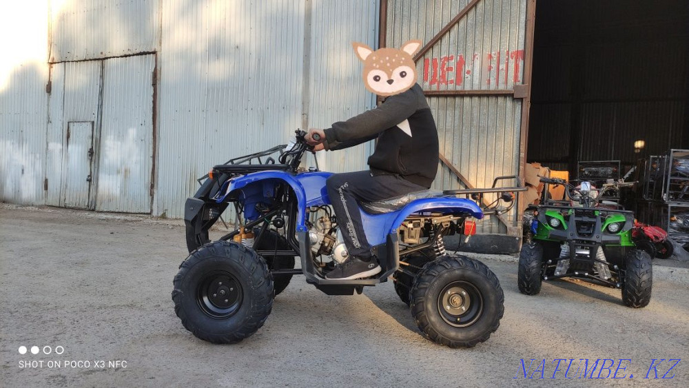 ATVs 50,110,125cc Pavlodar Pavlodar - photo 4
